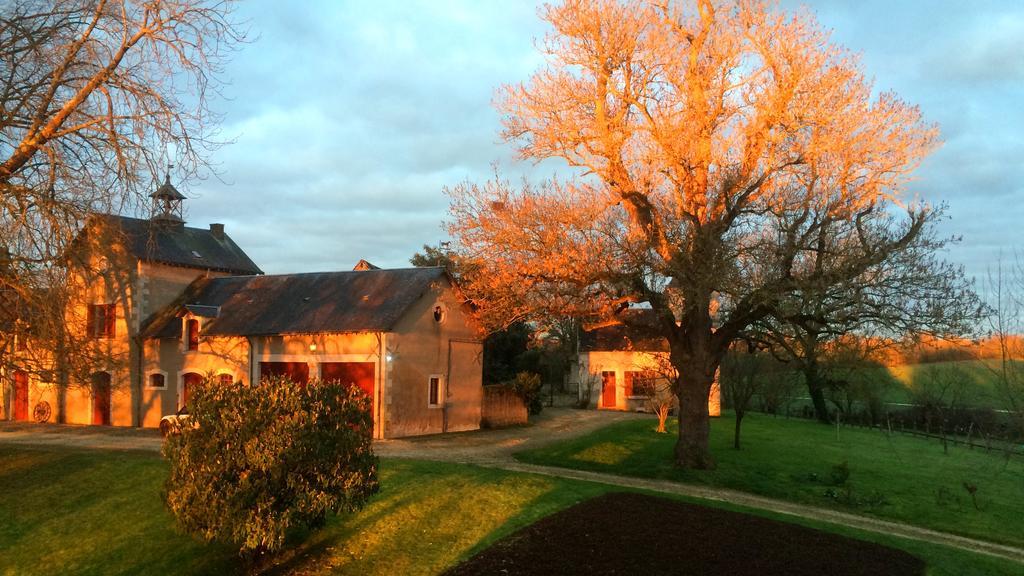 B&B Chateau De Preuil Vallenay Exteriér fotografie